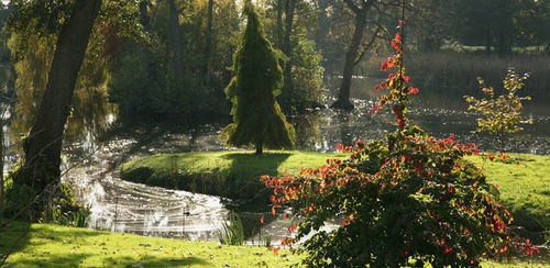 Hotel Grafton Manor 3*